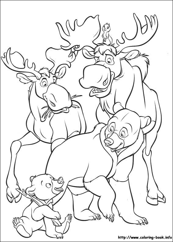 Brother Bear coloring picture